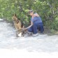 los perritos con su ama